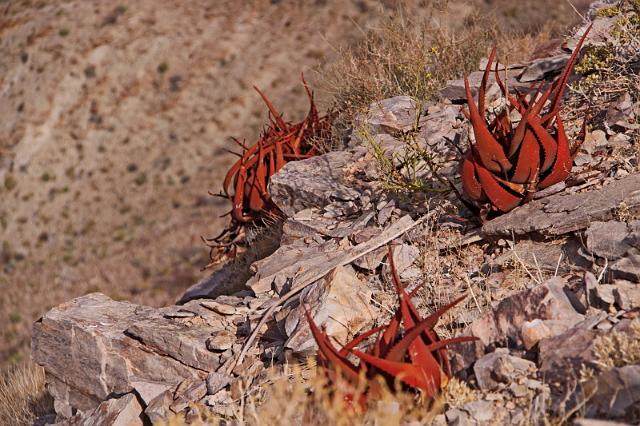 029 Fish River Canyon.JPG